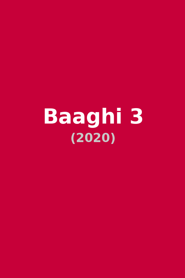 Baaghi 3
